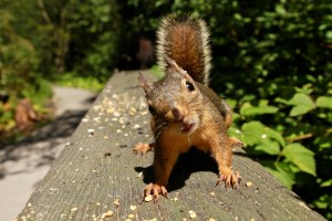 7648122902_376cc8baa0_o